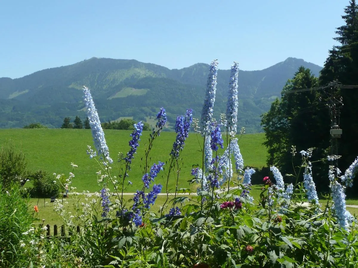 Фермерский дом Вилла Adlerhof Самерберг Германия
